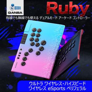 WASD】ASI LVL WASD アーケード スティック インドネシア エルブイエル