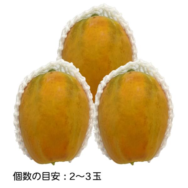 石垣島産フルーツパパイヤ2kg