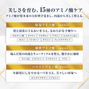 ディー・トラッド スカルプ シャンプー ライト...の詳細画像4