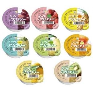 金槍固元湯（150g/30包）2個セット※固本培元湯（こもとばいげんたん