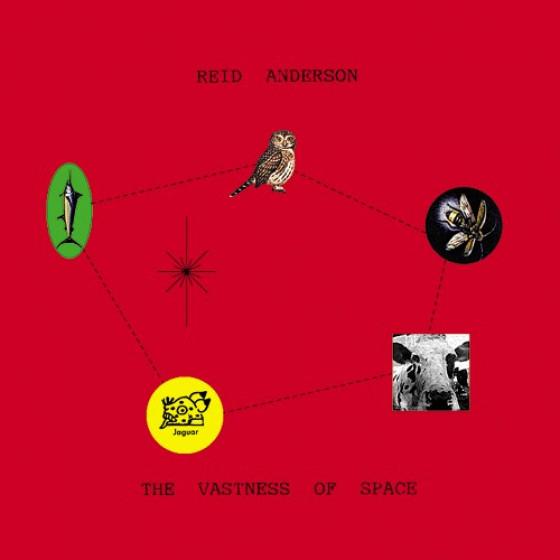 The Vastness Of Space (Reid Anderson)