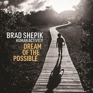 Human Activity Dream Of The Possible (Brad Shepik)
