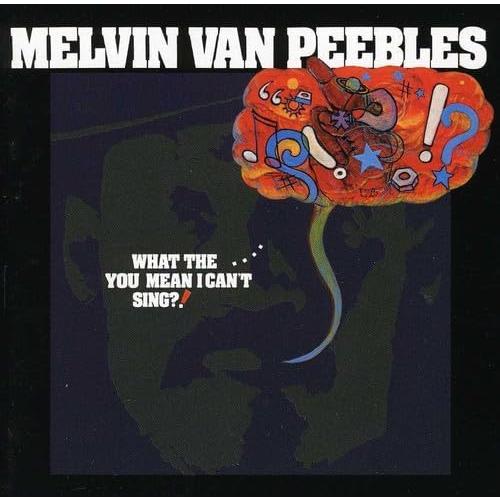 What The...You Mean I Can't Sing? (Melvin Van Peeb...