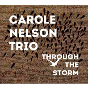 Through The Storm (Carole Nelson Trio)