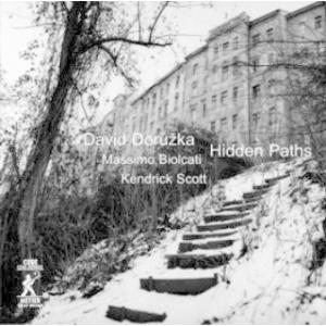 Hidden Paths (David Doruzka (Guitar Trio))