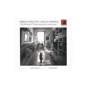 The Shining Of Things (Dedicated To David Sylvian)...