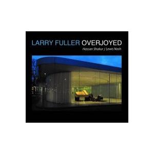 Overjoyed (Larry Fuller Trio)