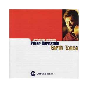 Earth Tones (Peter Bernstein Trio)