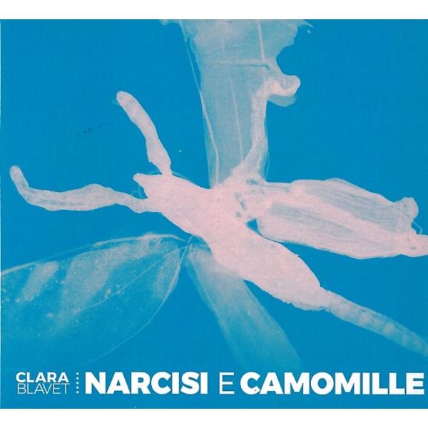 Narcisi E Camomille (Clara Blavet)