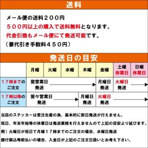トラベル ステッカー ハワイ 03【アロハ ビ...の詳細画像4