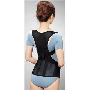 骨盤グイッと背筋Sラインベルト ホワイトM〜L(卸商品)