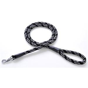 （まとめ）BASIC PLUS ネオンプラスリード15mm ブラック【×2セット】 (犬用品/リード...