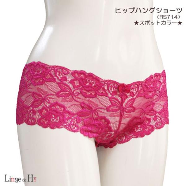 ランジュドアッシュ "EVAシリーズ" 総レースローライズショーツ 総レース ヒップハングショーツ ...