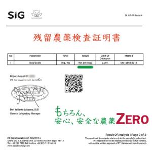 INDONESIA フローレス G1 焙煎豆【...の詳細画像5