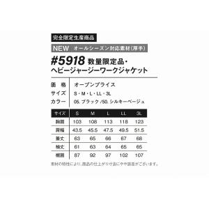 アイズフロンティア 5918 H.J.ワークジ...の詳細画像2