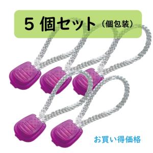 紫外線みっけ5個セット　UV反応ファスナートップ　【サイエンスでUVを見るエポカル】