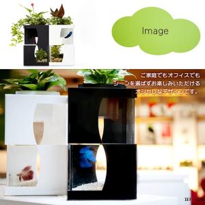【互換品】(最終在庫処分祭) IEF-010B...の詳細画像2