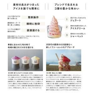 アイスクリームブレンダーの詳細画像4