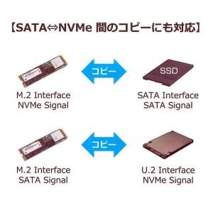 M.2/U.2 PCIe NVMe SSD デ...の詳細画像4