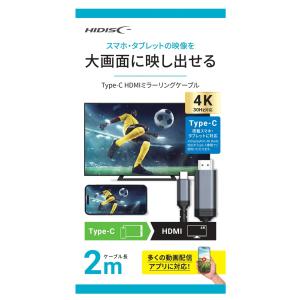 HIDISC スマホ・タブレット対応 Type...の詳細画像1