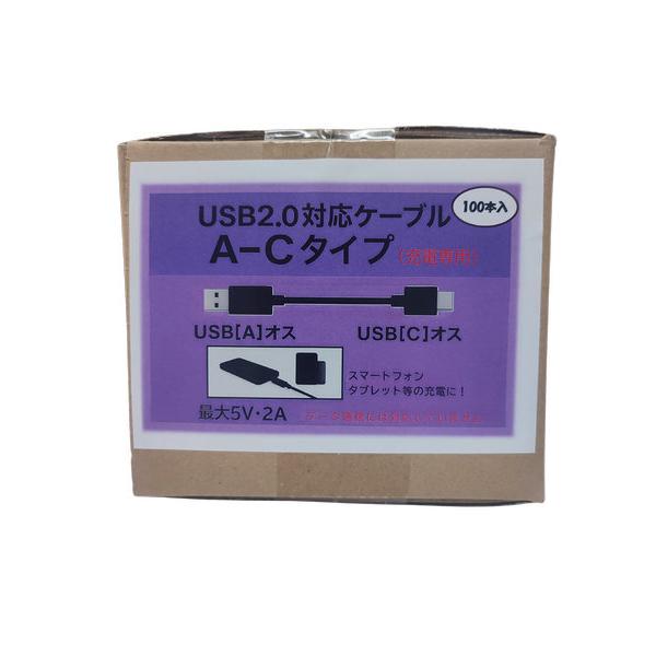 【100個セット】USB Type-Cケーブル（AtoC） R-TCC026BK