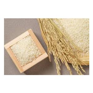 無洗米 国産ブレンド米 1.4kg(100%国産)の詳細画像1