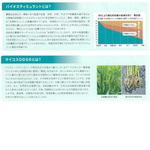 【在庫有り】ノリナ(株式会社NORINA) ア...の詳細画像2