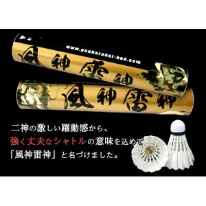 バドミントン シャトル 風神雷神シャトル 練習...の詳細画像3