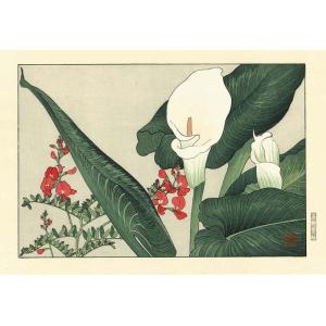 谷上廣南 木版画 カラーリリー Konan Tanigami Woodcut