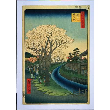 No42 玉川堤の花ー江戸百景 歌川広重 The Hiroshige 100 Famous View...