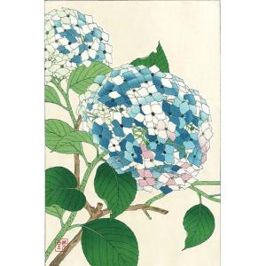 F075 紫陽花 花版画 Flower Woodcut ‐Hydrangea‐