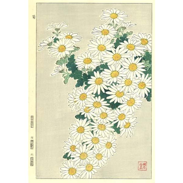 F037 菊　花版画 Flower Woodcut ‐Chrysanthemum ‐