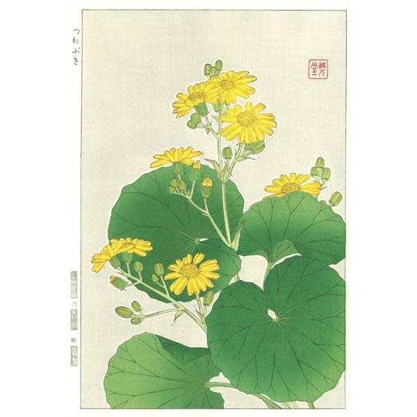 F044 ツワブキ　花版画 Flower Woodcut ‐Ligularia kaempferi‐