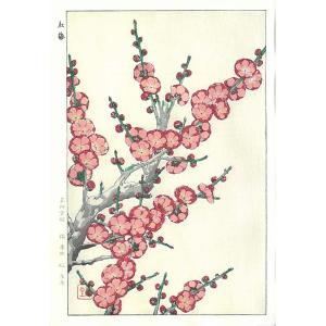 F022 紅梅　花版画 Flower Woodcut ‐Plum‐