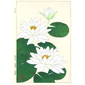 F056 スイレン（白） 花版画 Flower Woodcut ーWater lilyー