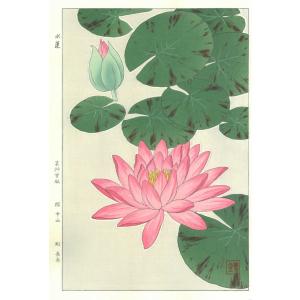 F057 スイレン(赤) 花版画 Flower ...の商品画像