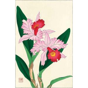 F099 蘭 花版画 Flower Woodcu...の商品画像