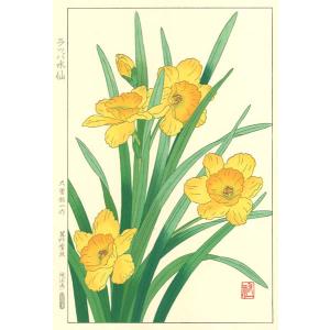 ラッパ水仙 花版画 Flower Woodcut...の商品画像