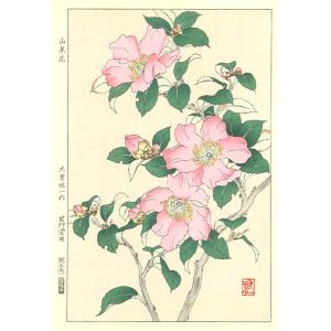 山茶花 花版画 Flower Woodcut -...の商品画像