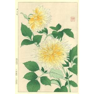 F042 ダリヤ　花版画 Flower Woodcut ‐Dahilia ‐