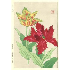 F074 チューリップ　花版画 Flower Woodcut ‐Fringed tulip ‐