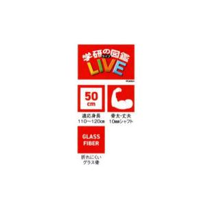 傘 キッズ 雨具 雨傘 幼児から 低学年 長傘...の詳細画像3
