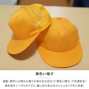 【翌々日までに出荷(金/土/日/祝の注文を除く...の詳細画像1