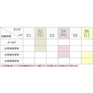 【翌々日までに出荷(金/土/日/祝の注文を除く...の詳細画像3