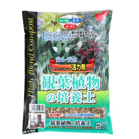 SCG観葉植物の培養土 約2L