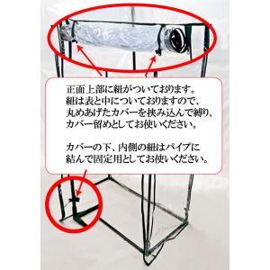 替えカバー 「ビニール温室 ロング大きな植物用...の詳細画像3