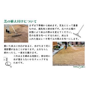 加熱処理済み原料100%!芝の目土・床土 約2...の詳細画像3
