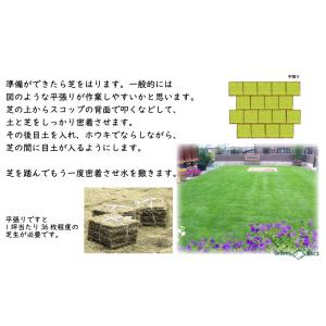 加熱処理済み原料100%!芝の目土・床土 約2...の詳細画像4