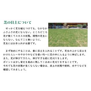 加熱処理済み原料100%!芝の目土・床土 約2...の詳細画像5