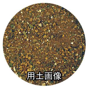 球根・宿根草の培養土 約14Lの詳細画像1